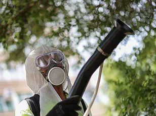 CDC Expands Travel Advisory to Four New High-Risk Countries Amid Chikungunya Surge and Global Health Alert