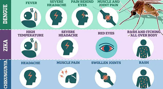 CDC Expands Travel Advisory to Four New High-Risk Countries Amid Chikungunya Surge and Global Health Alert
