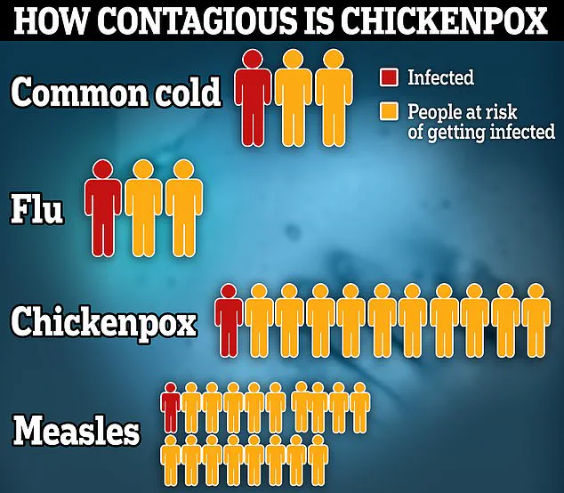 From Chickenpox to Crisis: The Unseen Health Risks Facing Families