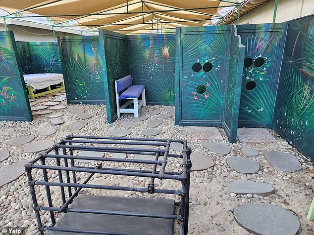 Palm Springs' Exotic Dream Resort Now for Sale at $10.5 Million: Unique Adult Play Maze Sparks Interest