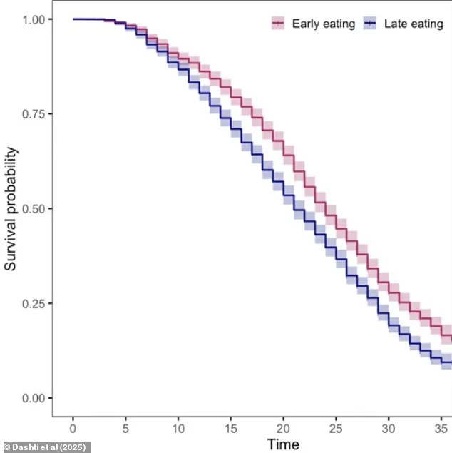 Study Finds Early Breakfast Linked to Increased Longevity in Long-Term Research
