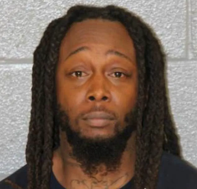 Public Safety Policies and the Role of Online Platforms in Criminal Justice: A National Debate