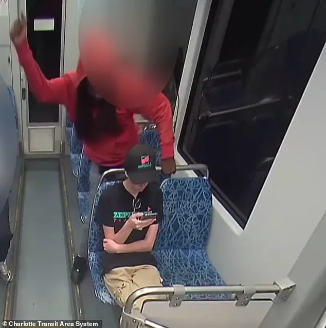 Public Safety Policies and the Role of Online Platforms in Criminal Justice: A National Debate