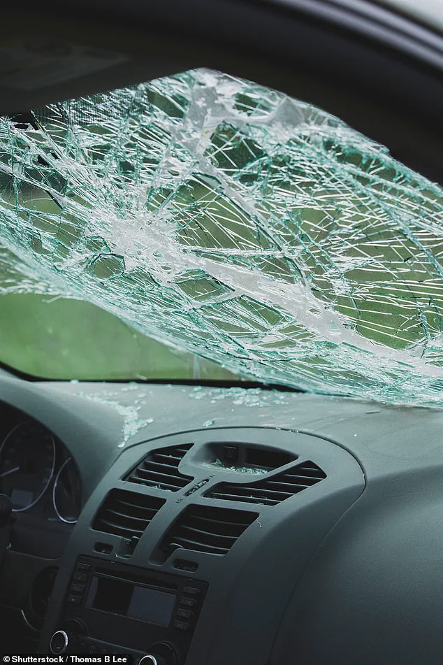 Privileged Access to a Haunting NDE: Jeffery Olsen's Exclusive Account 28 Years After Tragedy