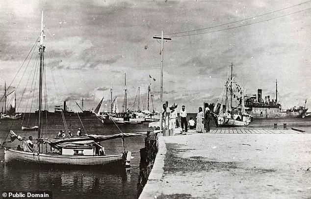 Congresswoman King-Hinds Urges Trump to Declassify Records on Amelia Earhart's Disappearance