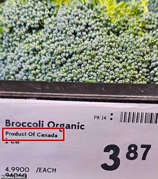 Investigation Reveals Widespread Mislabeling of American Produce as Canadian in Supermarkets