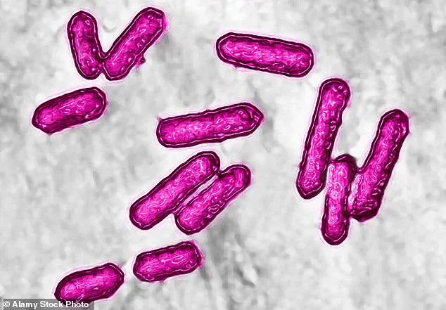 Health Risks: FDA Recalls Listeria-Contaminated Cantaloupe from Minneapolis Company, Affecting Three States