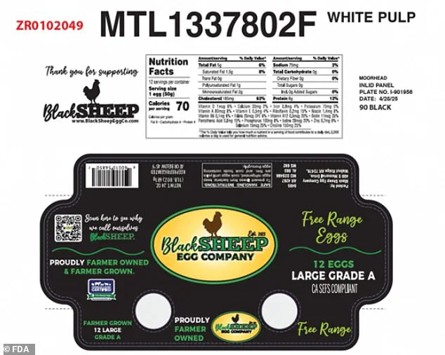 Eggs Recalled Over Salmonella Fears: FDA Urges Public to Check Cartons as Black Sheep Company Issues Voluntary Recall
