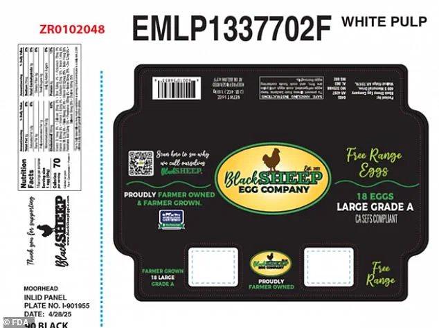 Eggs Recalled Over Salmonella Fears: FDA Urges Public to Check Cartons as Black Sheep Company Issues Voluntary Recall