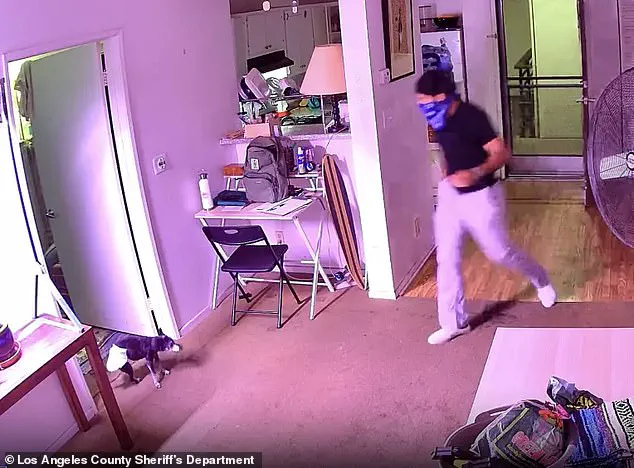 Alleged Theft of Tabby Cat Floki by Food Delivery Driver Captured on Surveillance Video in Los Angeles