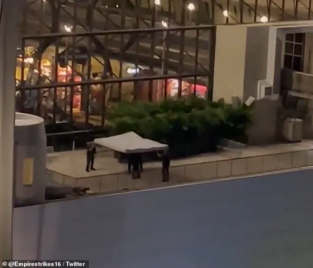 Limited Information Released in Tragic Death of Disney Superfan at Walt Disney World