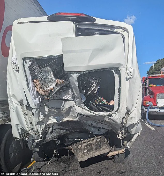 Tragic Interstate 85 Collision Claims Eight Lives, Raising Questions About Transportation Safety Regulations