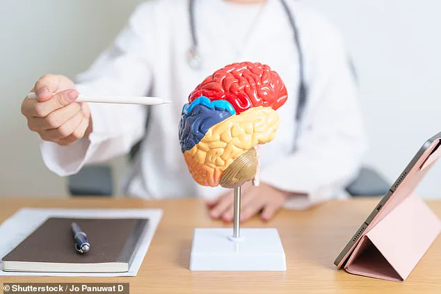 UCLA Study Uncovers Link Between X Chromosome Gene and Higher Alzheimer's Risk in Women, Prompting Calls for Gender-Specific Research