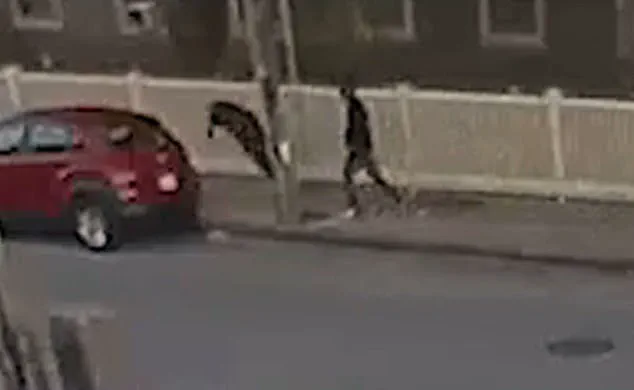 Exclusive Footage Reveals Brutal Attack on Former Mayor Outside Cannabis Dispensary in Fall River