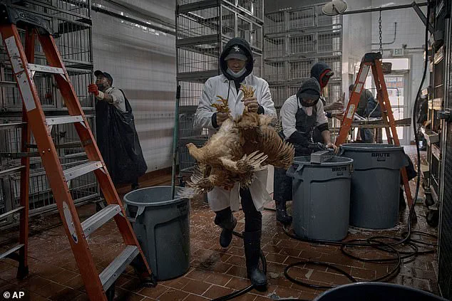 Quammen Sounds Alarm Over New Bird Flu Strain in Washington, Echoing Pandemic Warnings