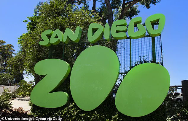 Gramma the Galapagos Tortoise: A 141-Year Legacy at the San Diego Zoo