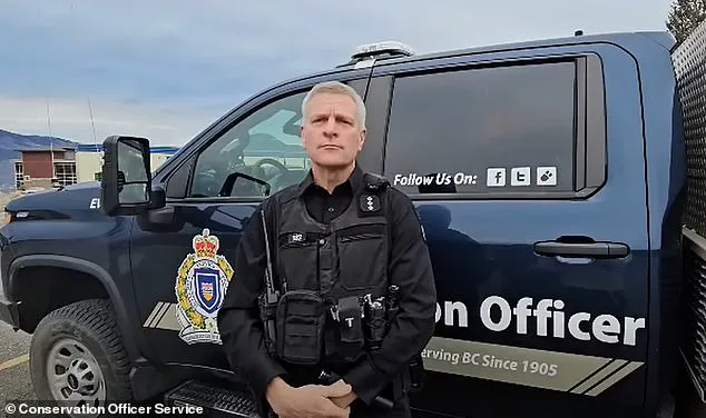 Grizzly Bear Attack Injures 11 at Canadian Elementary School; Search Continues as Community Grapples with Wildlife Safety Concerns