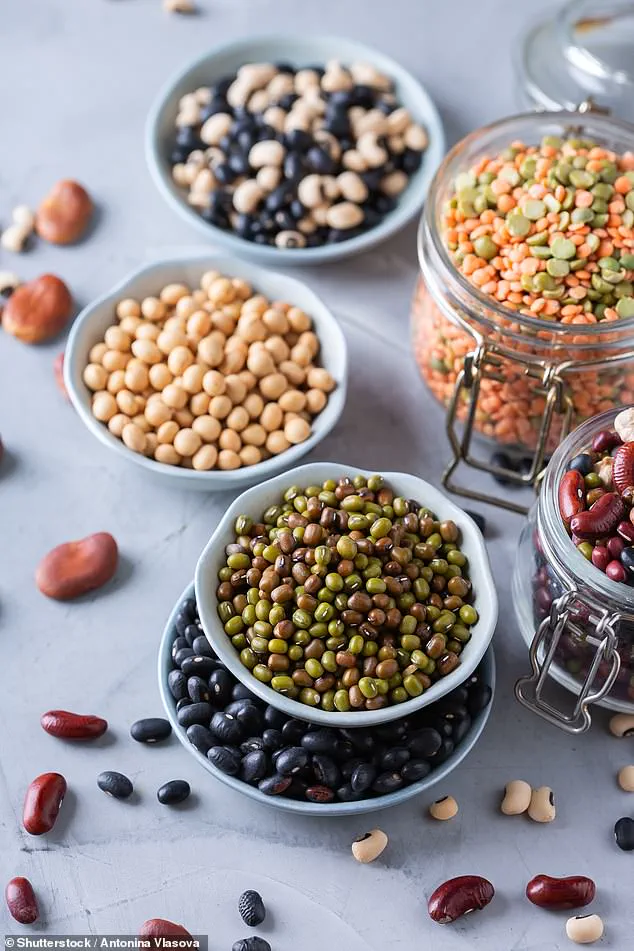Study Indicates Replacing Red Meat with Legumes Weekly May Lower Gallbladder Cancer Risk
