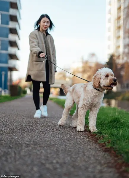 America's $600 Billion Longevity Industry: From Tech Optimism to Celebrity Endorsements, as Billionaire Bryan Johnson Embodies the Quest for Eternal Youth