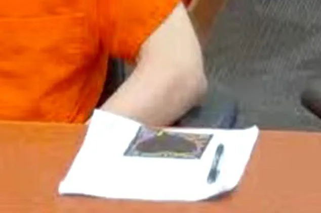 Melissa Kohberger Reveals Her Brother Bryan's Black Heart Drawing Wasn't a Symbol of Malice, as Speculated During His Sentencing