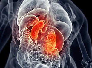 Expert Warnings Highlight Growing Public Health Risk from Undiagnosed Cardiovascular-Kidney-Metabolic Syndrome