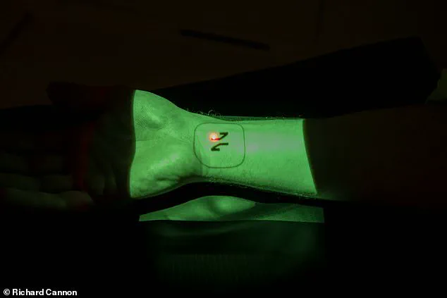 Exclusive Access to Expert-Backed Health Diagnostics: A New Standard for Public Well-Being