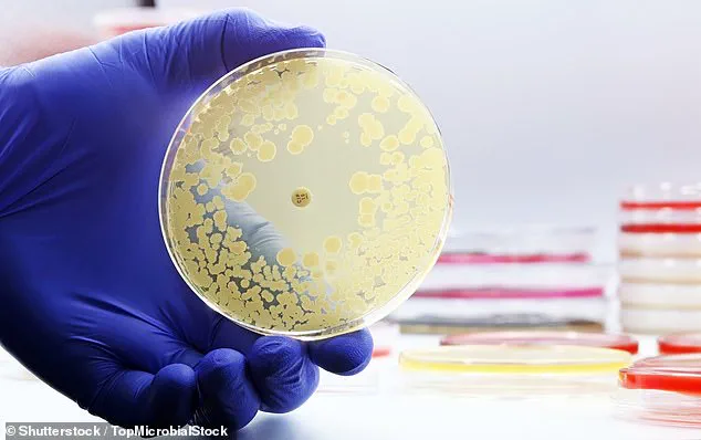 New Study Reveals Alarming Contamination in Drinking Water on Major Airlines, Including E. coli Detection