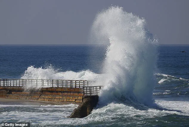 Tourists' Manhandling of Marine Life Sparks Controversy During San Diego's King Tides