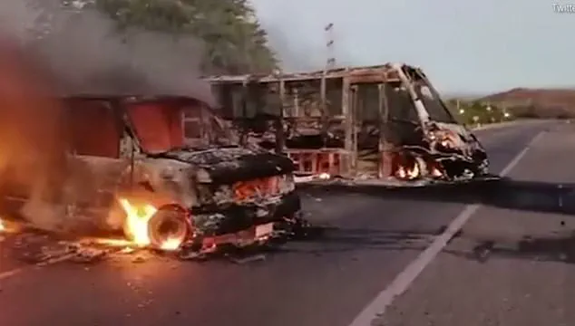 Brutal Tactics and Territorial Conflicts: The Escalating Violence of Mexico's Narco Gangs