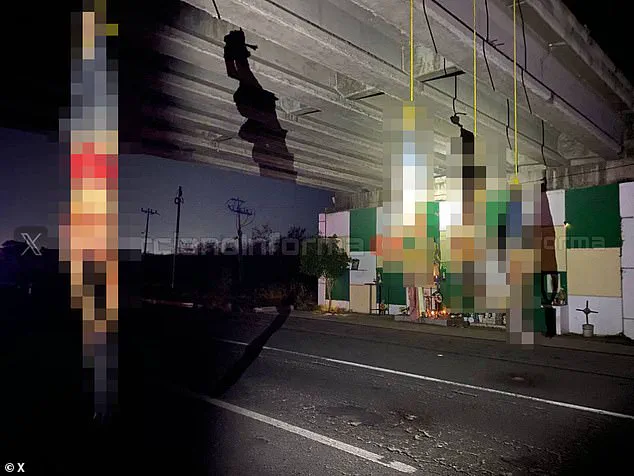 Brutal Tactics and Territorial Conflicts: The Escalating Violence of Mexico's Narco Gangs