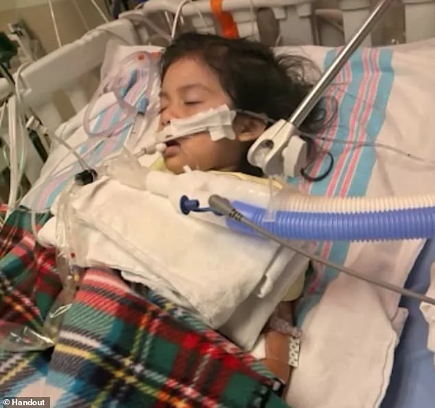 New 'Super Flu' Variant H3N2 Subclade K Rapidly Spreading in U.S., Linked to Prolonged Illness