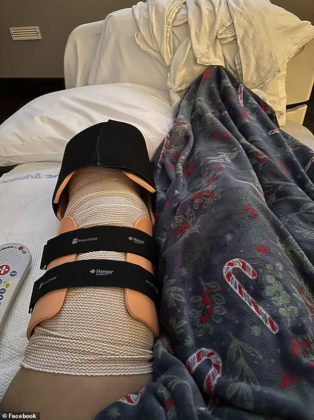 From Best Friend to Peril: Expert Advisories on the Rare but Critical Risks of Domestic Animal Attacks