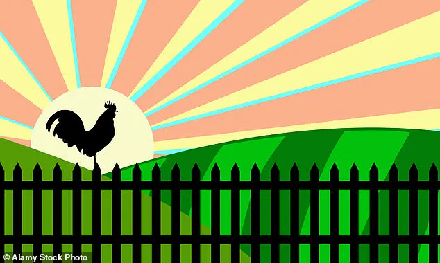 From Setbacks to Success: How a Transformative Morning Routine Can Help Overcome New Year's Resolution Struggles