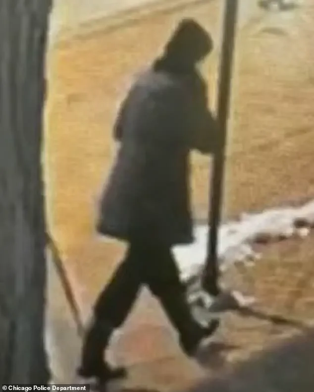 Body of Missing Illinois Teacher Recovered from Lake Michigan After 10-Day Search