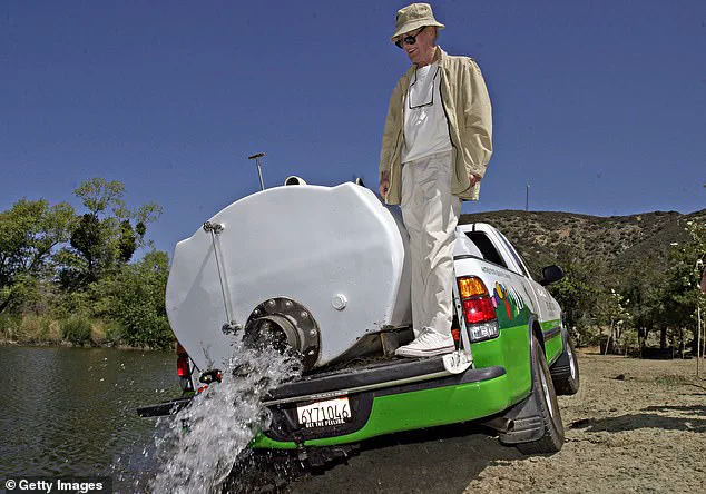 Former Painted Turtle CEO Faces 15 Felony Charges in $5.2M Embezzlement Case