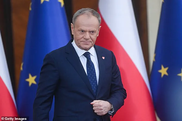 Exclusive: Senior European Leader Warns of Catastrophic NATO Rift Over Greenland, Revealing Secret Talks on Trump's Arctic Ambitions