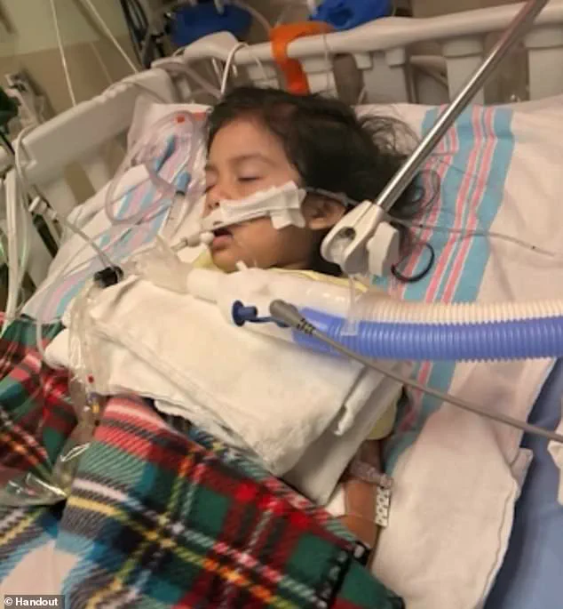 Expert Advisories Warn of Escalating Flu Crisis as Healthcare Systems Face Unprecedented Strain