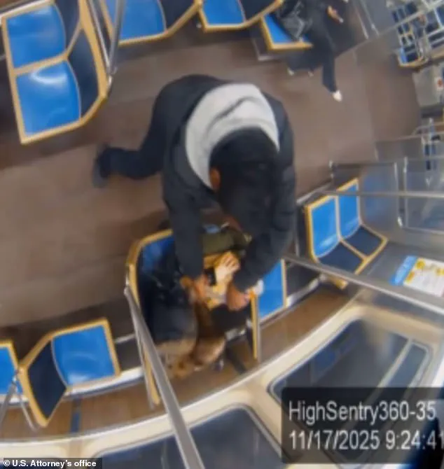 Chicago's Blue Line Shaken by Brutal Subway Murder as Video Sparks Outrage