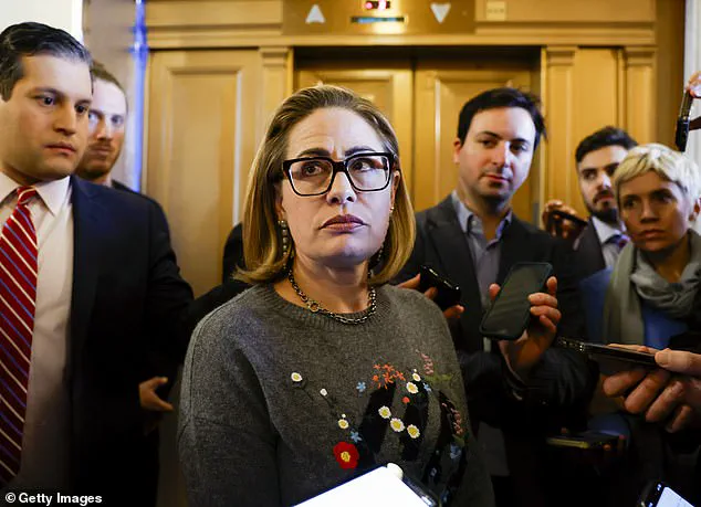 Allegations Against Matthew Ammel, Former Bodyguard of Kyrsten Sinema, Spark Legal and Media Controversy Amid Felony Charges