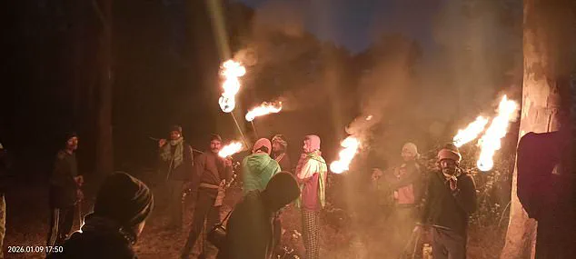 Urgent: Rampaging Elephant in Jharkhand Kills 22 as Villagers Flee in Terror