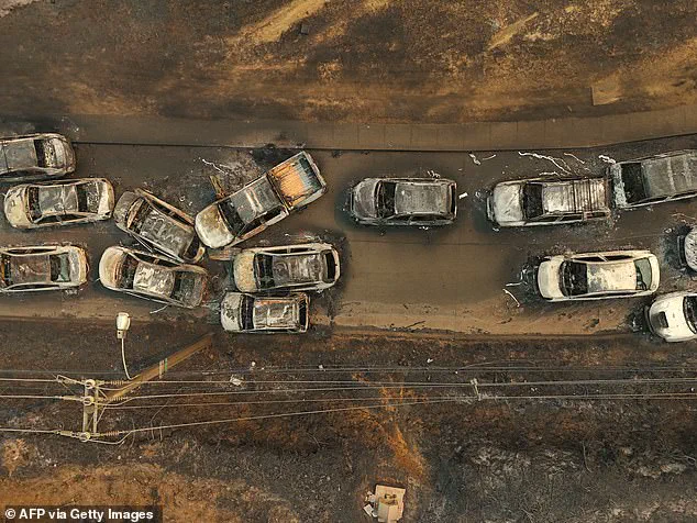 Chile Wildfires: At Least 18 Dead, 50,000 Evacuated as Climate Crisis Sparks Unprecedented Disaster