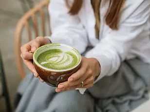 Gut Health Goes Mainstream: Expert Research Drives Surge in Probiotic Food Interest