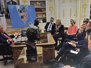 Canadian Government's Insurgency-Style Response to US Threats Sparks Public Concern Over Security Measures