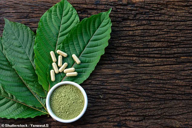 Tragic Death of American Chess Grandmaster Daniel Naroditsky Sends Shockwaves Through the Community