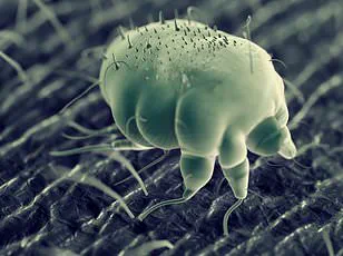 UK Scientists Find Vitamin D Linked to Lower Respiratory Infection Risk in Winter, Study in *American Journal of Clinical Nutrition* Reveals