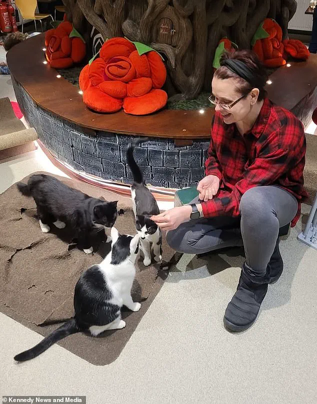 Veterinary Nurse Left Disabled After Accidental Poisoning by MRI Dye Following Head Injury