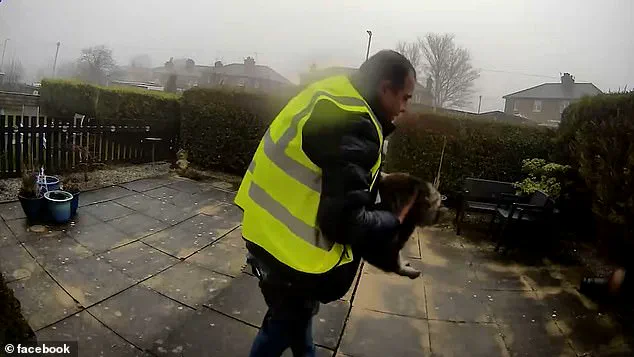 Exclusive Footage: Privileged Access Reveals Amazon Driver's Alleged Cat Theft