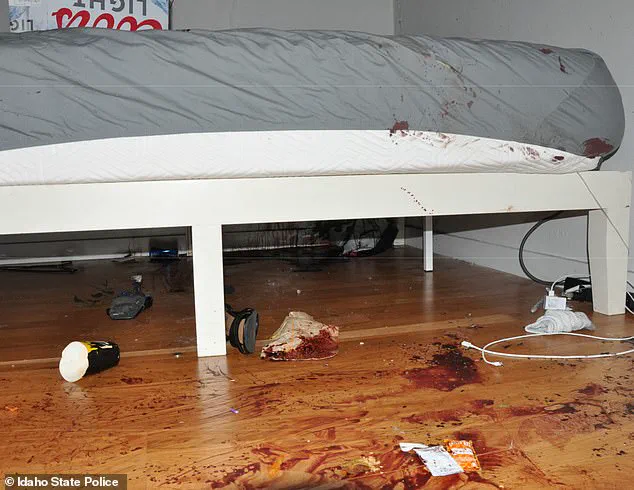 Previously Unseen Idaho Murder Crime Scene Photos Reignite Transparency Debate, Swiftly Taken Down