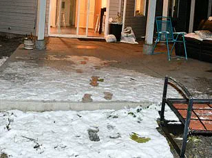 Idaho State Police Defend Release and Subsequent Removal of 3,000 Crime Scene Photos from Idaho Four Murders Amid Public Outcry