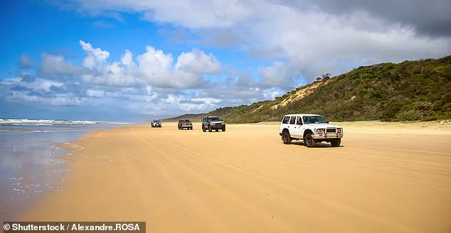 Tragic Dingo Attack on Fraser Island Sparks Debate Over Wildlife Management Regulations